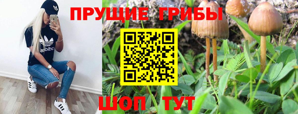 Усинск  Галлюциногенные грибы Cubensis  Вход с VPN 